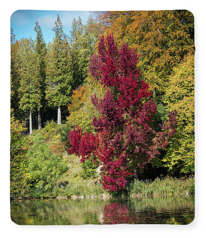 Autumnal View In Belgium - Blanket