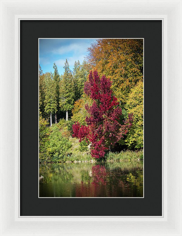 Autumnal View In Belgium - Framed Print