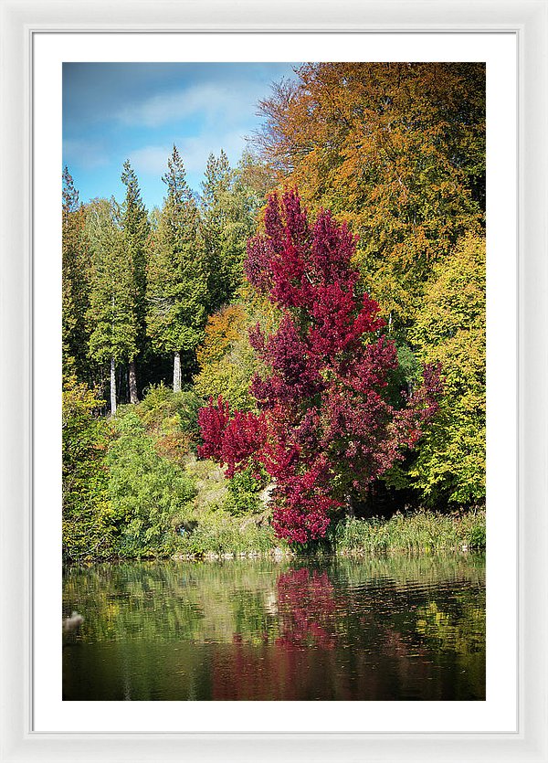 Autumnal View In Belgium - Framed Print