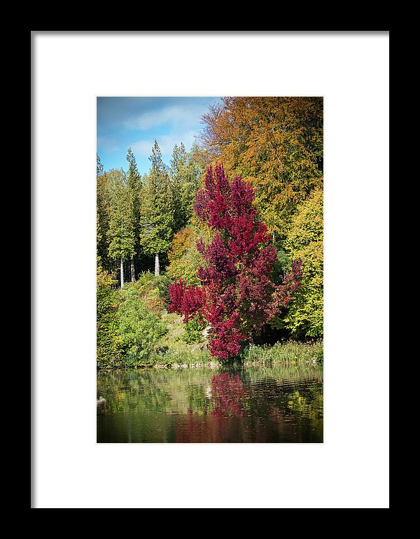 Autumnal View In Belgium - Framed Print