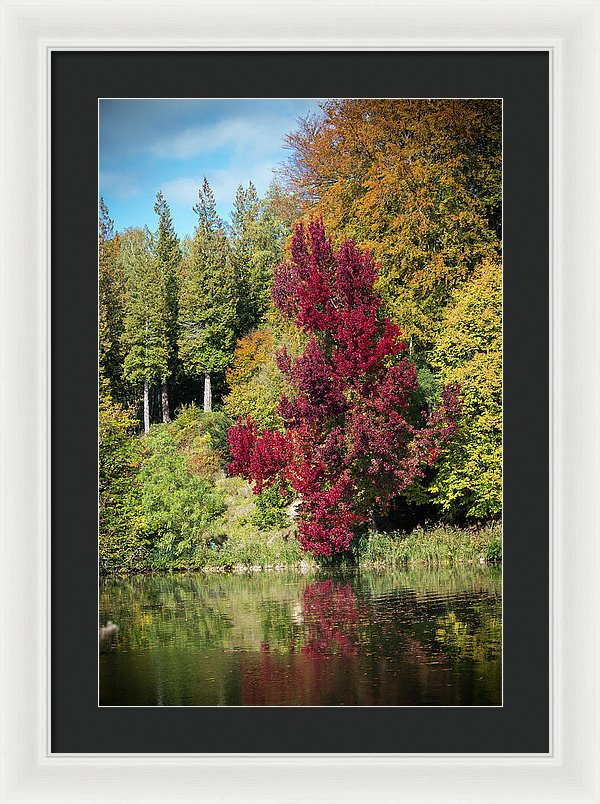 Autumnal View In Belgium - Framed Print