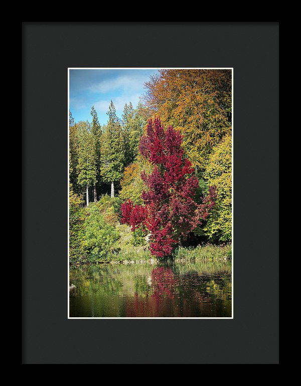 Autumnal View In Belgium - Framed Print