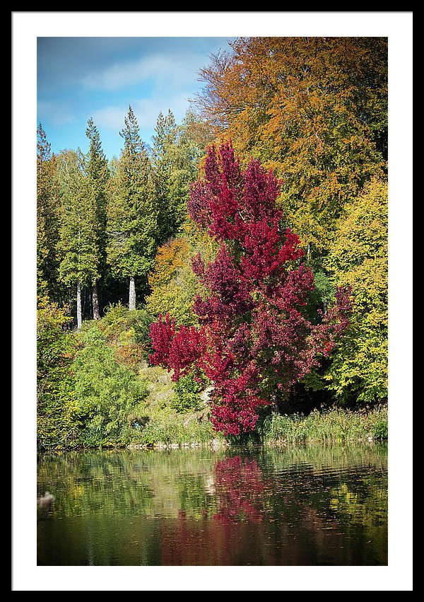 Autumnal View In Belgium - Framed Print