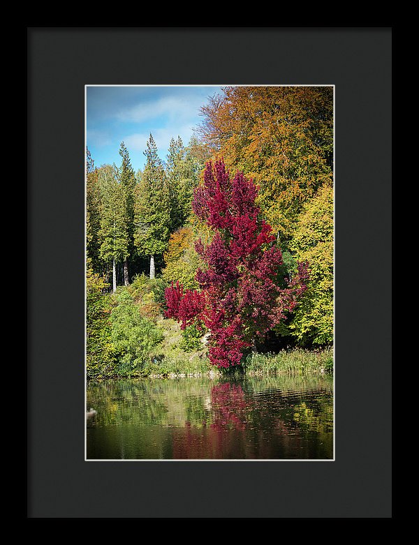 Autumnal View In Belgium - Framed Print