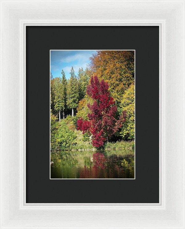 Autumnal View In Belgium - Framed Print