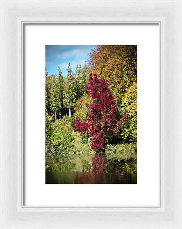 Autumnal View In Belgium - Framed Print