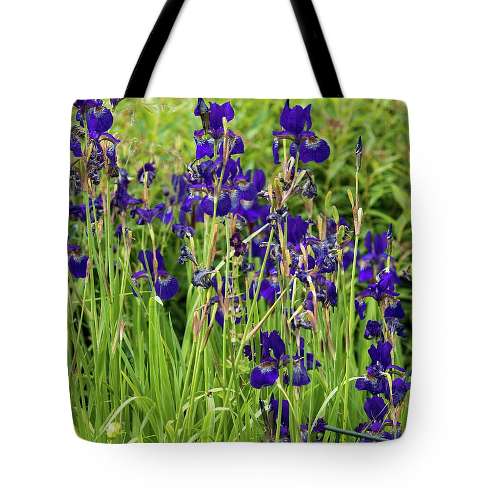 Blue Irises - Tote Bag