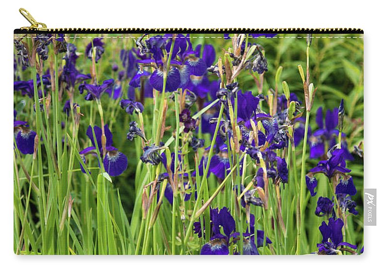 Blue Irises - Carry-All Pouch