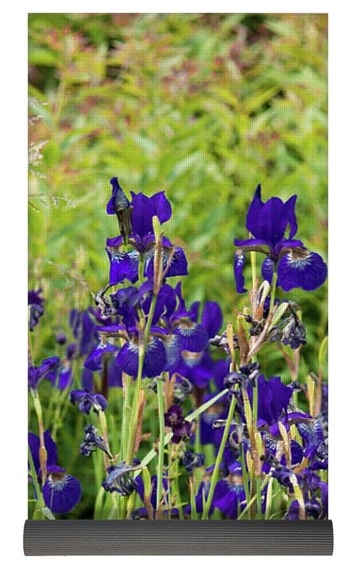 Blue Irises - Yoga Mat