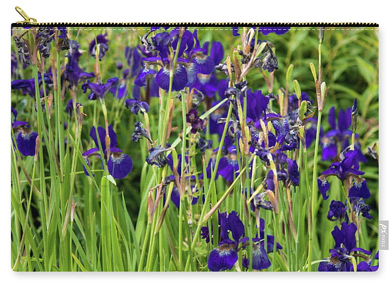 Blue Irises - Carry-All Pouch