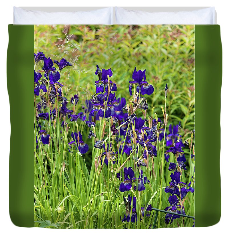 Blue Irises - Duvet Cover