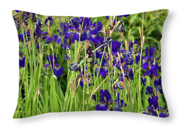 Blue Irises - Throw Pillow