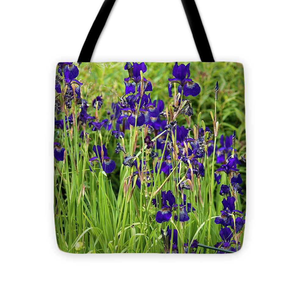 Blue Irises - Tote Bag