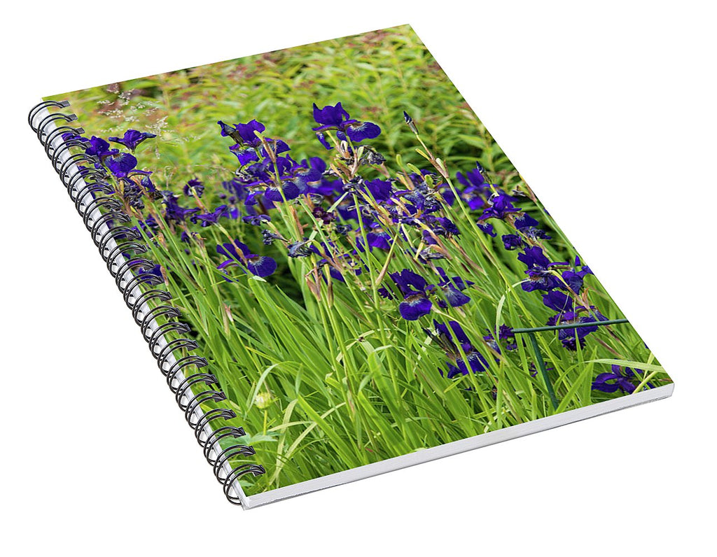 Blue Irises - Spiral Notebook