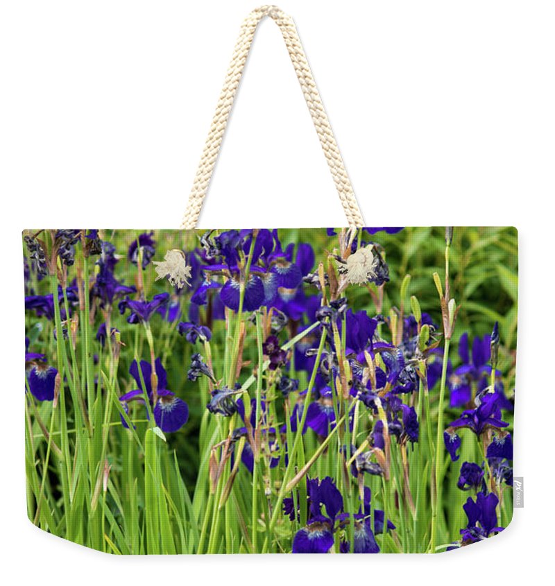 Blue Irises - Weekender Tote Bag