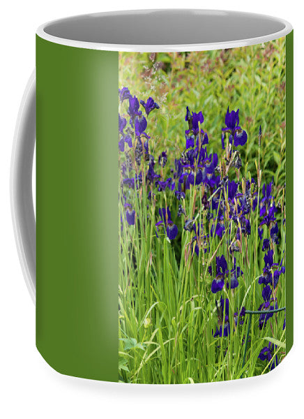 Blue Irises - Mug