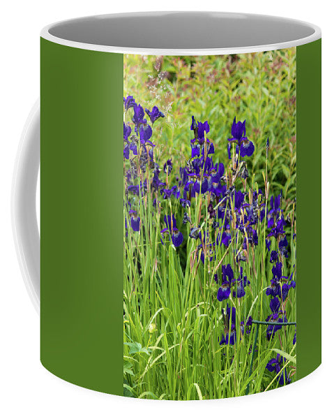 Blue Irises - Mug