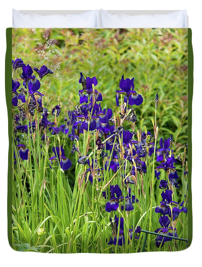 Blue Irises - Duvet Cover