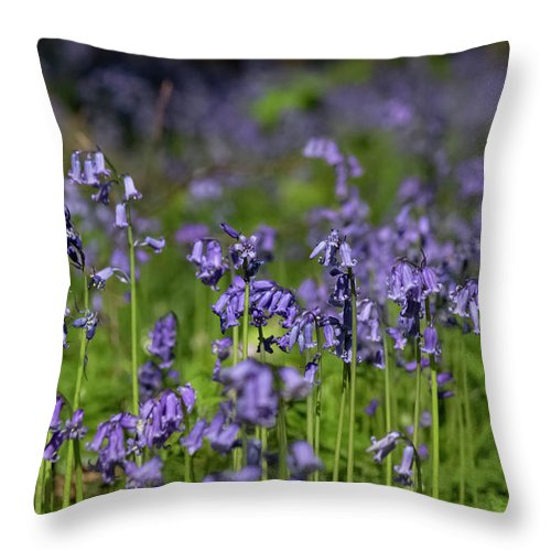 Bluebells - Throw Pillow