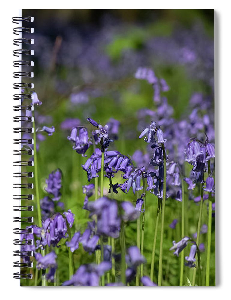 Bluebells - Spiral Notebook