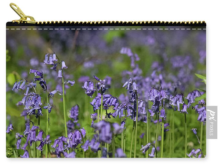 Bluebells - Carry-All Pouch