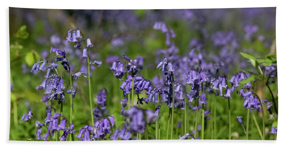 Bluebells - Bath Towel