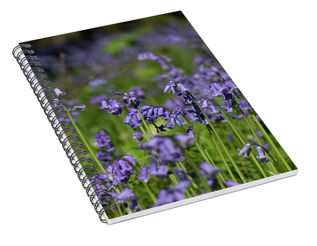 Bluebells - Spiral Notebook