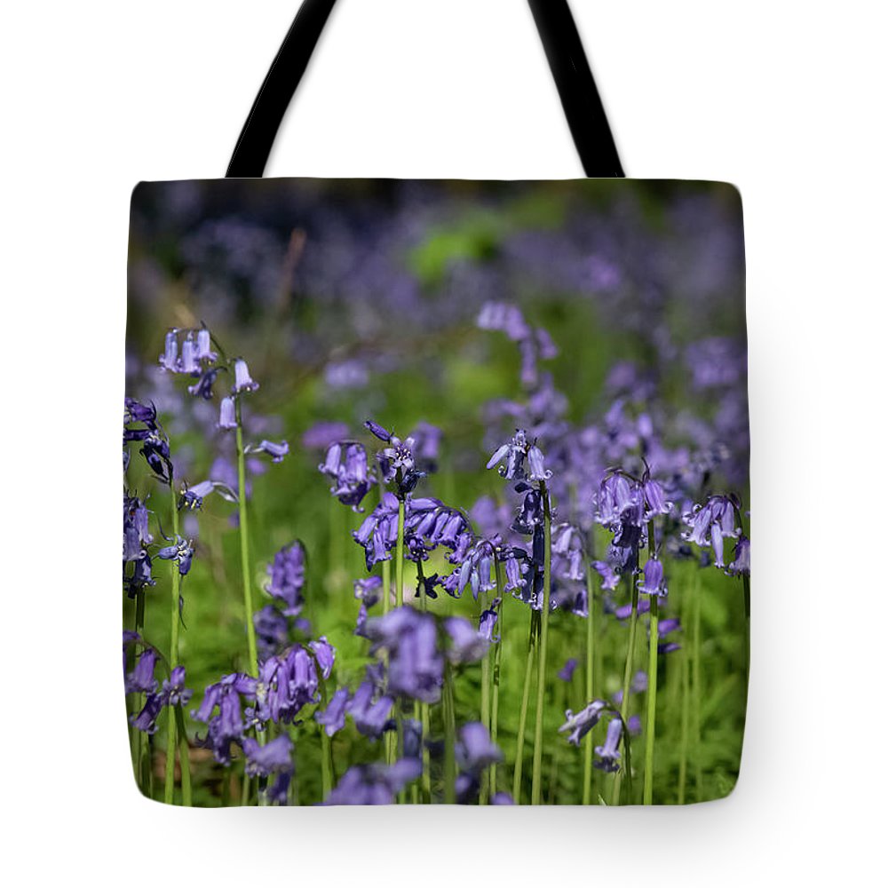 Bluebells - Tote Bag