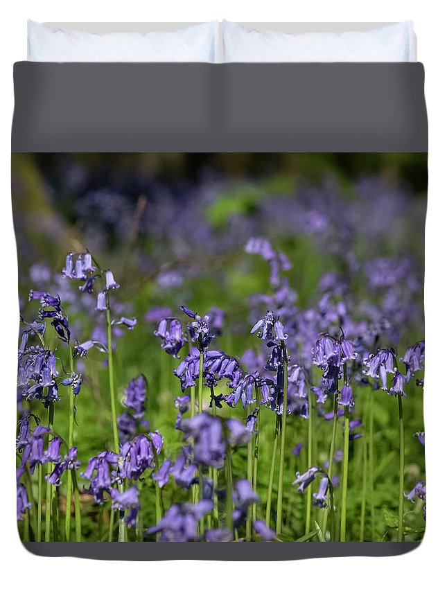 Bluebells - Duvet Cover