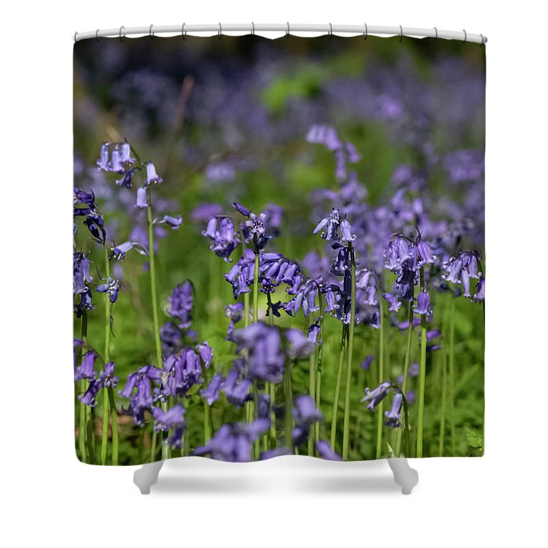 Bluebells - Shower Curtain