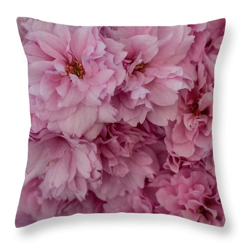 Cherry Flowers - Throw Pillow