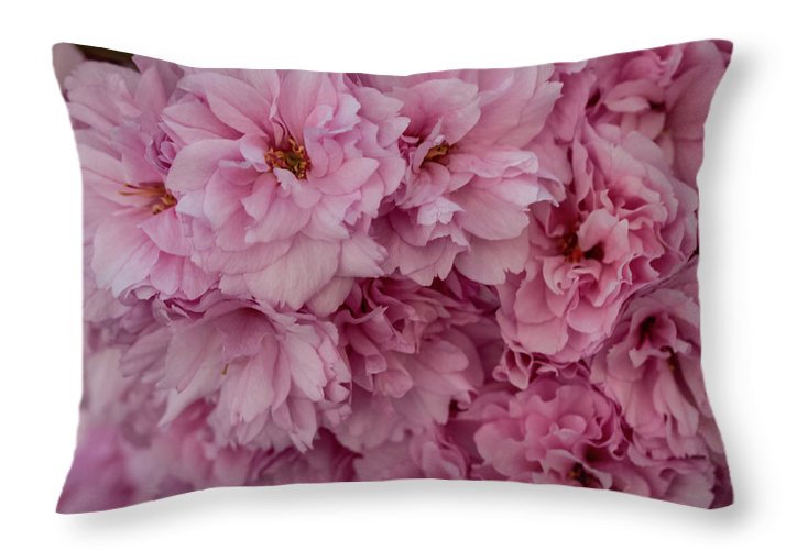 Cherry Flowers - Throw Pillow
