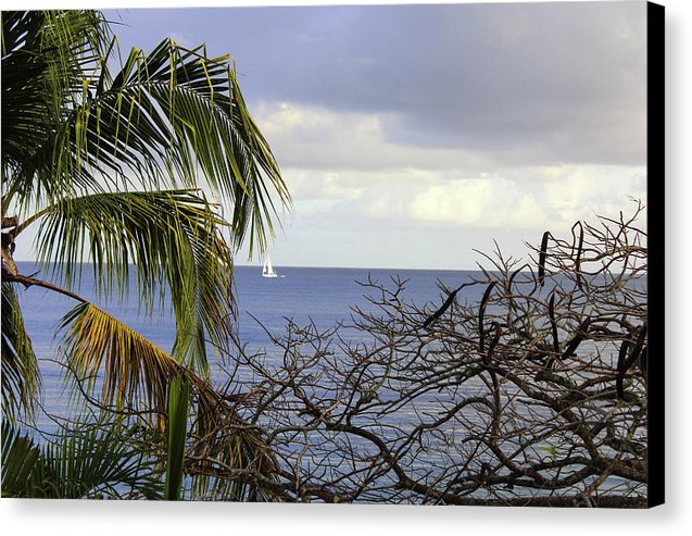 Cloudy Day  - Canvas Print