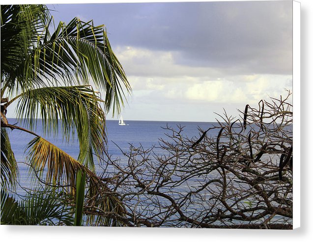 Cloudy Day  - Canvas Print
