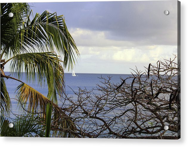 Cloudy Day  - Acrylic Print