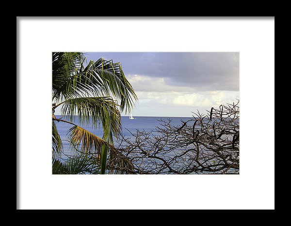 Cloudy Day  - Framed Print