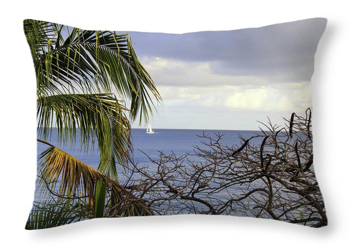 Cloudy Day  - Throw Pillow
