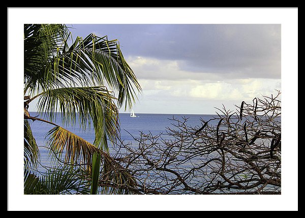 Cloudy Day  - Framed Print