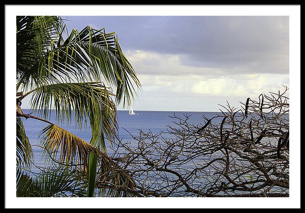 Cloudy Day  - Framed Print