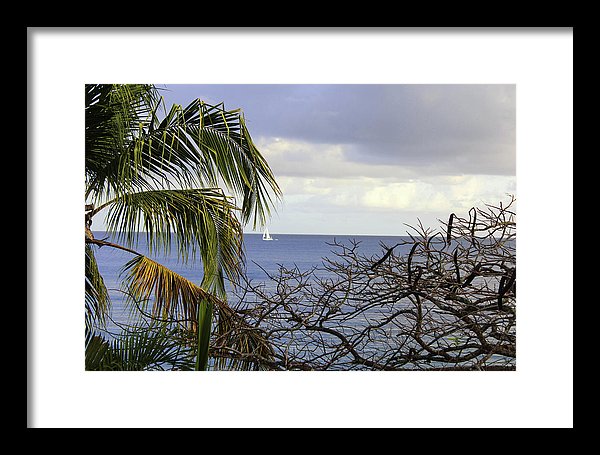 Cloudy Day  - Framed Print