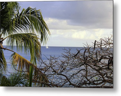 Cloudy Day  - Metal Print