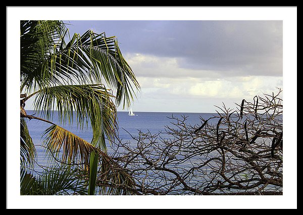 Cloudy Day  - Framed Print