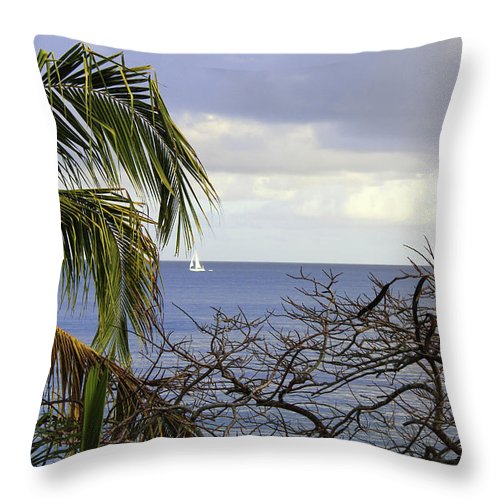 Cloudy Day  - Throw Pillow