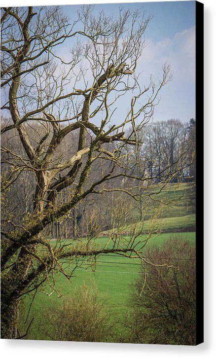 Countryside In Belgium - Canvas Print