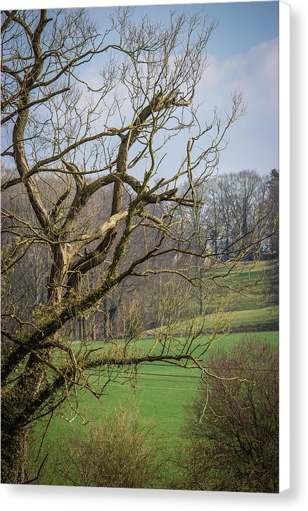 Countryside In Belgium - Canvas Print