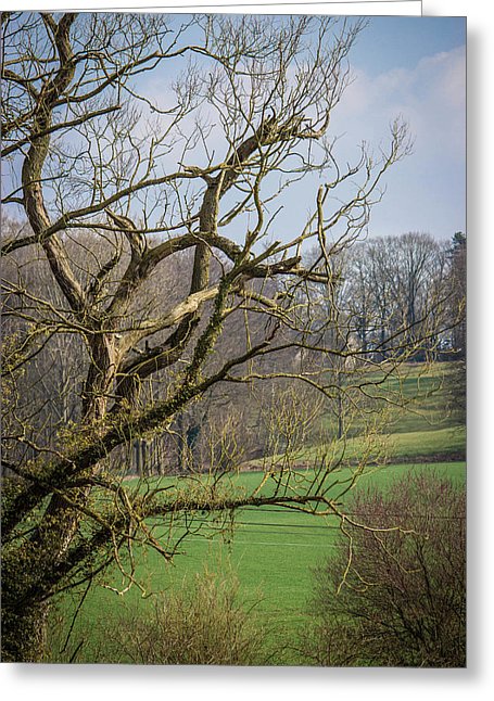 Countryside In Belgium - Greeting Card