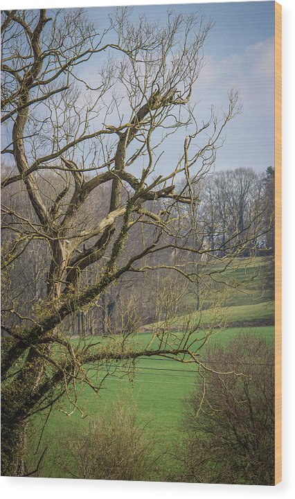 Countryside In Belgium - Wood Print