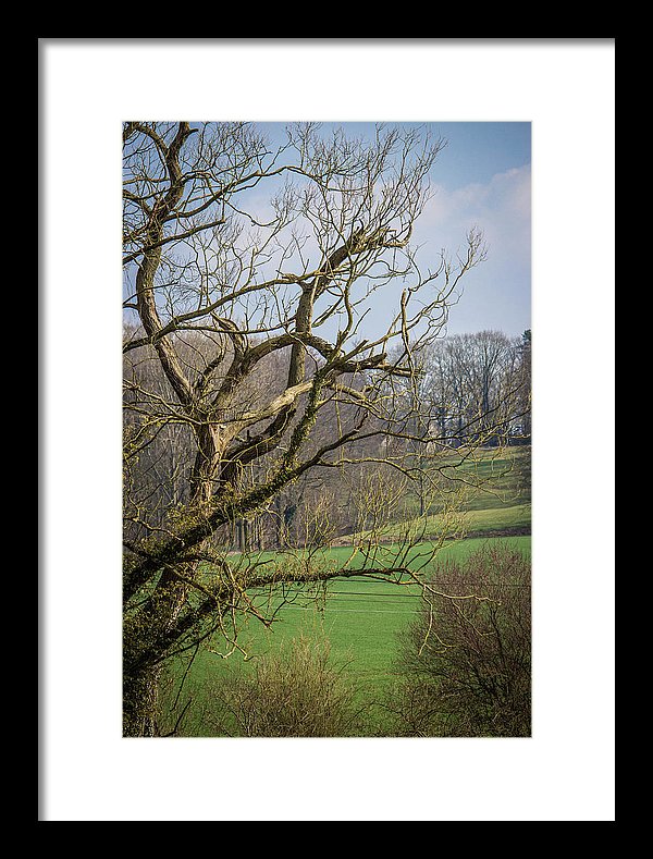 Countryside In Belgium - Framed Print