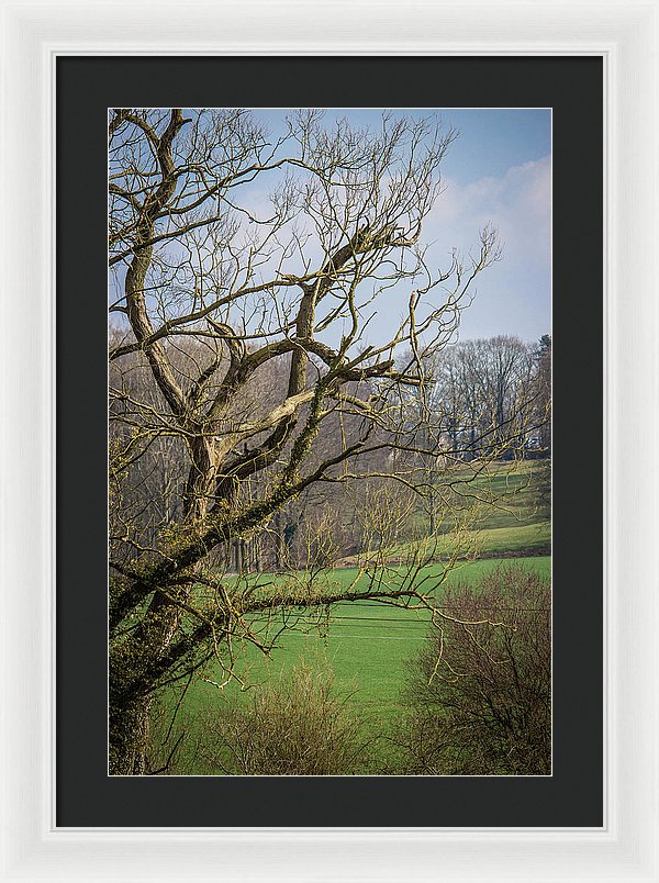 Countryside In Belgium - Framed Print