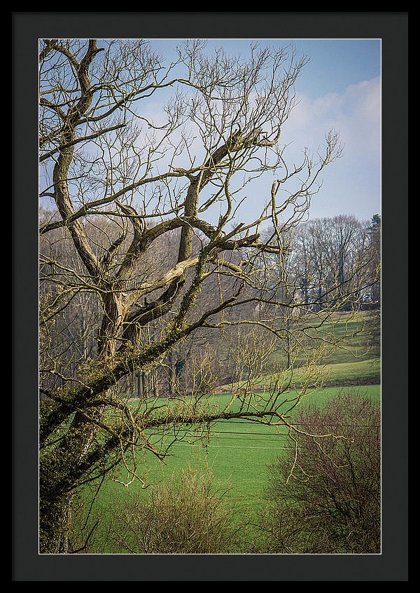 Countryside In Belgium - Framed Print